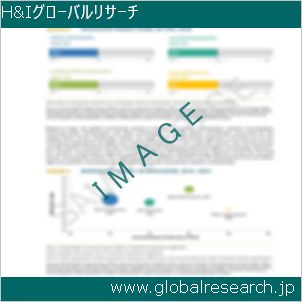 グローバルリサーチ調査レポートのイメージ